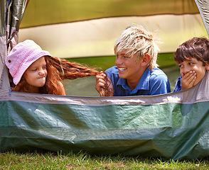 Image showing Kids, camp and outdoors for tent, friends and nature on summer vacation with boys pulling person hair. Children, annoyed girl and holiday for adventure, tease and camping in backyard and on grass