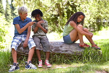 Image showing Nature, bullying and boys with girl in outdoor field, woods or forest laughing and teasing. Rude, upset and cruel young children sitting on tree trunk in garden on vacation, holiday or weekend trip.