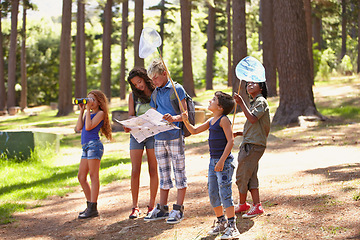 Image showing Nature, adventure and group of children in forest playing with fishing net and map for exploring. Bonding, field and young kids walking, discovery and hobby in outdoor woods together in summer.