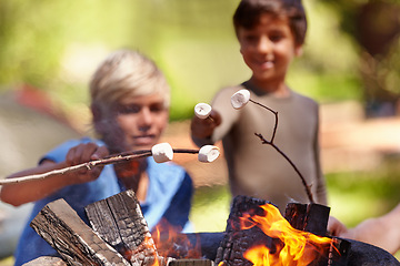 Image showing Fire, marshmallow and boy kids in nature for camping, learning or fun bonding in a park together. Bonfire, family or children in a forest for candy puff roast, cooking or campfire tradition in woods