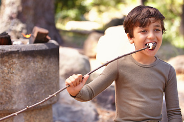 Image showing Child, eating and marshmallow on stick on camping adventure outdoor in summer with dessert snack. Boy, kid and smile with candy at campfire in forest, park or woods on holiday or vacation in nature