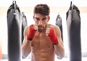 Image showing Boxer, gym and portrait for fitness, exercise and wellness in strong training for confidence to fight. Man, sport and boxing athlete in training, challenge and shirtless ready to punch for kickboxing