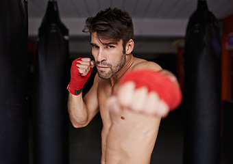 Image showing Boxer, gym and portrait for fitness, punch and wellness in strong training for confidence to fight. Man, sport and boxing athlete in sports, challenge and shirtless ready to exercise for mma