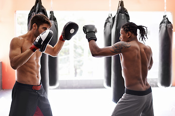 Image showing Men, training for boxing in gym and exercise, sport and coaching with athlete and personal trainer for workout. Fitness, skill and kickboxing with boxer team practice, MMA and challenge with action