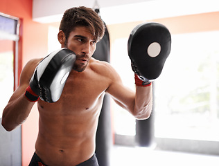 Image showing Gym, boxing and man with sparring pads for fitness, exercise and mixed martial arts training. Sports, fight and kickboxer with practise mitts for challenge, workout or gear for power, battle or focus