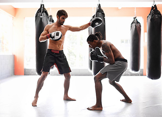 Image showing Men, boxing and competition with punch for fight practice for endurance challenge, champion or winner. Male people, gloves and cardio fitness with strength for battle professional, athlete or sport