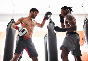 Image showing Men, boxing and training with gloves or pad or fighting performance or endurance challenge, progress or workout. Male people, personal trainer and battle with confidence or sport, exercise or fitness