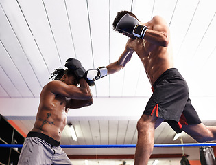 Image showing Men, punch and practice for match in ring, fitness and topless for exercise and workout. People, low angle and performance for challenge or fighting, training and combat for competition in sports