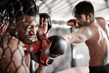 Image showing Punch, pain and men in cage for kickboxing competition, challenge and fitness with fight sports in gym. Boxing match, strong fighter and sparring with exercise, practice and power in battle together.
