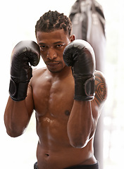 Image showing Confidence, portrait and black man with boxing gloves in gym for challenge, fight and competition training. Power, muscle and serious face of champion boxer at workout with fitness in sports club.