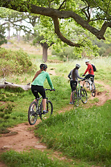 Image showing Cycling, fitness and sports people in nature for marathon, race and journey with competition or training on path. Group, athlete or friends on bicycle for outdoor exercise, health or cardio in forest