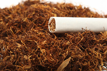 Image showing cigarette on tabacco