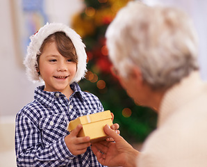 Image showing Grandmother, happy kid and giving Christmas gift in home, love and care at party. Xmas, grandma and child with present at festive celebration, holiday and smile of family bonding together in house