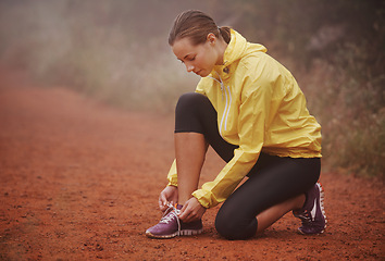 Image showing Running, shoelace and fitness woman in park for training, exercise or wellness in winter. Workout, sneakers or runner in nature for morning cardio preparation, sports or shoes check for marathon run