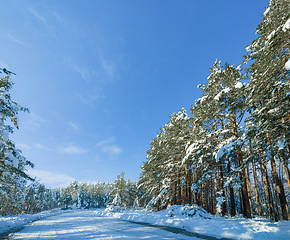 Image showing Snow, forest and mountain road or outdoor winter in Canada for environment explore, holiday or cold weather. Woods, trees and path or remote location for travel adventure or blue sky, ice or frozen