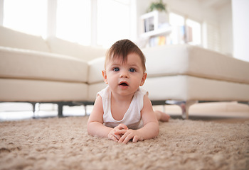 Image showing Portrait, growth and baby crawling on floor of living room in home for child development or progress. Adorable, curious and innocent with cute infant kid on carpet in apartment to learn motor skills