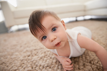 Image showing Sweet, cute and portrait of baby on carpet playing for child development in living room at home. Happy, adorable and young infant, toddler or kid learning to crawl on floor rug in modern house.