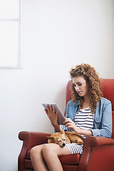 Image showing Woman, tablet and relax on social media at home, online and internet for website or blogging. Female person, dog and streaming entertainment on armchair, pet animal and app for shopping on weekend