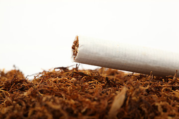 Image showing cigarette tabacco