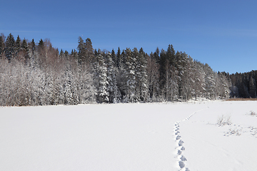 Image showing Vinter