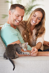 Image showing Man, woman are happy with kitten and pet love, support and care with trust, playful and relax on sofa at family home. Couple with baby cat, kindness and affection with animal on couch for adoption