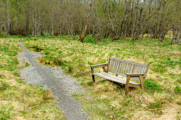 Image showing Serene park bench by a winding gravel path in a lush green fores