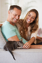 Image showing Man, woman and happiness with kitten and pet love, support and care with trust, playful and relax on sofa at family home. Couple with cat, kindness and affection with animal on couch for adoption