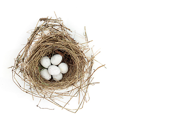 Image showing Blue Tit Eggs in Spring Bird Nest