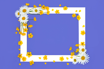 Image showing Spring Daisy and Buttercup Flower Background Frame