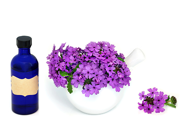 Image showing Verbena Herb Flowers with Aromatherapy Essential Oil Bottle