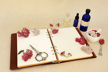 Image showing Achillea Herb Flower for Natural Herbal Remedies