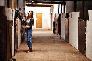 Image showing Woman, portrait and happy with horse in stable for bonding, sports training and recreation in Texas. Stallion, person and animal or face in barn with smile for healthy livestock, hobby and pet care