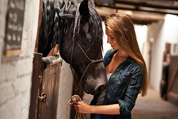 Image showing Woman, face and smile with horse in stable for bonding, sports training and recreation in Texas. Stallion, person and animal on farm or barn with happiness for healthy livestock, hobby and pet care