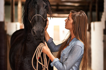 Image showing Barn, woman and horse in stable for bonding, sports training or sustainable farming in Texas with rope. Stallion, person and cowgirl with animal on farm or ranch for healthy livestock, hobby and care