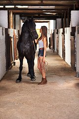 Image showing Ranch, woman and horse in stable for bonding, sports training or sustainable farming in Texas with rope. Stallion, person and cowgirl with animal on farm or barn for healthy livestock, hobby and care