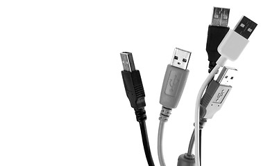 Image showing usb cable on white