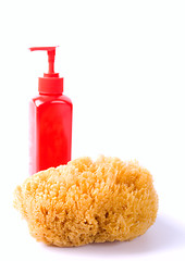 Image showing sponge and body lotion