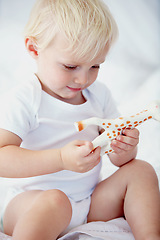 Image showing Baby, kid and playing with giraffe in home nursery, learning and having fun on bed. Toddler, animal and cute child with toy for development, education and childhood of innocent boy in house alone