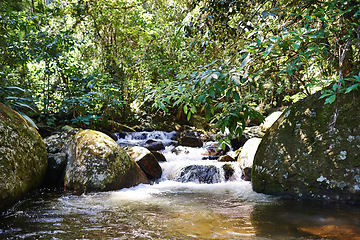 Image showing River, rainforest and rocks on landscape with sunshine, growth and sustainability in summer with trees. Water, leaves and earth in tropical jungle with environment, ecology and nature in Colombia