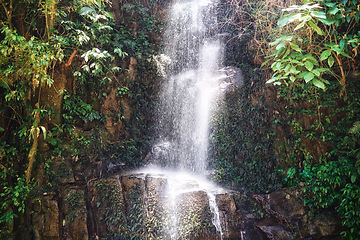 Image showing Waterfall, jungle and trees in environment with rocks, growth and sustainability in summer in nature. River, leaves and earth in tropical rainforest with landscape, ecology and sunshine in Colombia