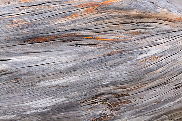 Image showing Close-up view of weathered wooden planks showcasing natural text