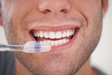 Image showing Closeup of person brushing teeth, toothbrush and dental for wellness, fresh breathe and tooth whitening in morning routine. Clean mouth, toothpaste and oral care with orthodontics and hygiene