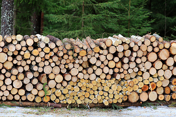 Image showing Neatly Stacked Firewood by Forest Road