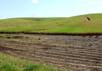 Image showing Burning land in sugar cane harvest