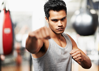 Image showing Man, portrait and training with confidence, boxing and fists ready to punch in match for health and exercise. Male person, workout and focus in gym, mma and boxer for sports and combat for defence