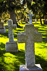 Image showing Graveyard with tombstones