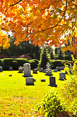 Image showing Graveyard with tombstones