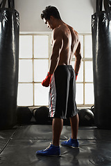 Image showing Fitness, man and gloves in gym with punching bag for exercise, sports and training for competition. Male person, back view and boxing with Muay Thai for fighting, performance and skill at club studio