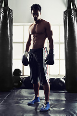 Image showing Man, portrait and confident with boxing gloves in centre for combat sport, fitness and competition for strong people. Male fighter, determined and ready for self defense, serious and fit with power