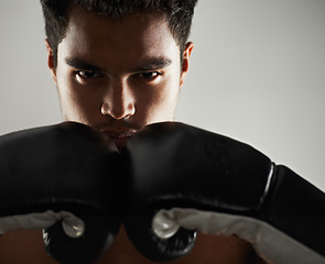 Image showing Man, confident and portrait with boxing gloves in studio for self defense, mma and combat. Male person, fighter and personal trainer for physical sport with commitment, serious and closeup for action